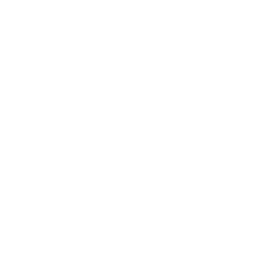A striped bass leaping clear of the water